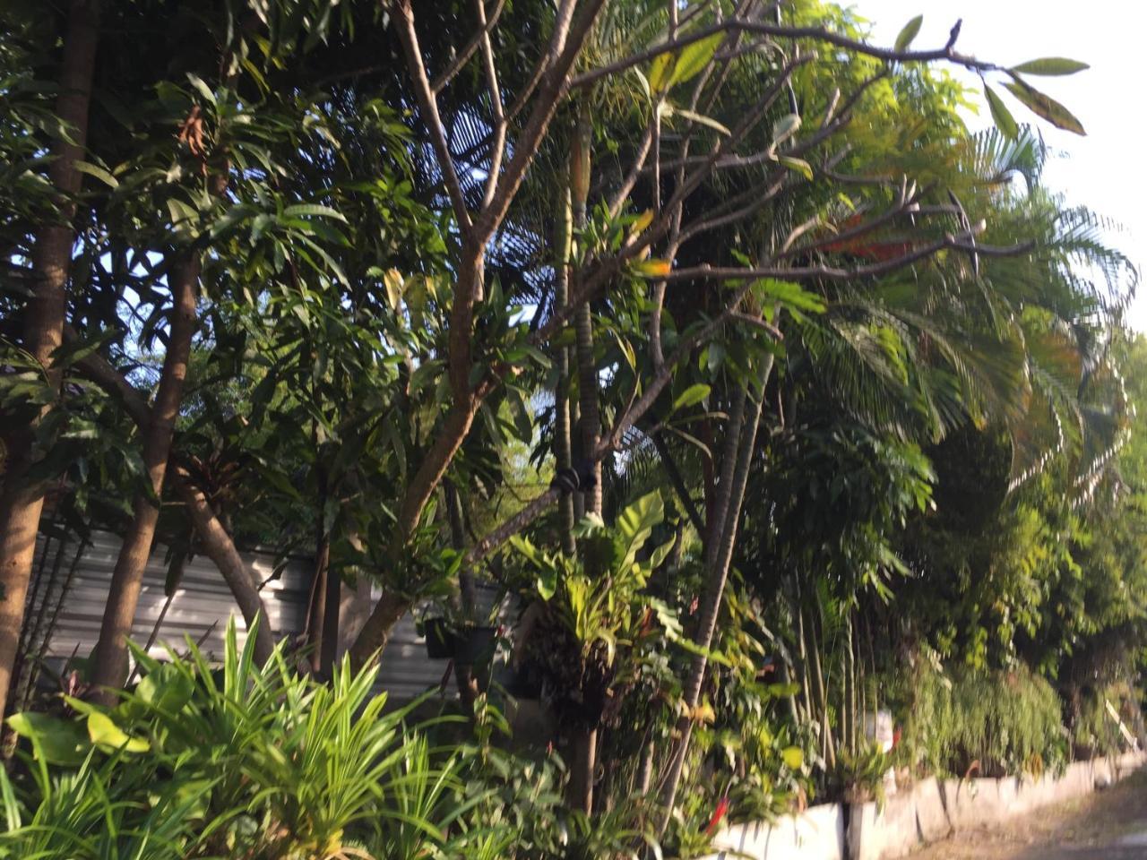 Nan Inn Bungalow Karon Buitenkant foto